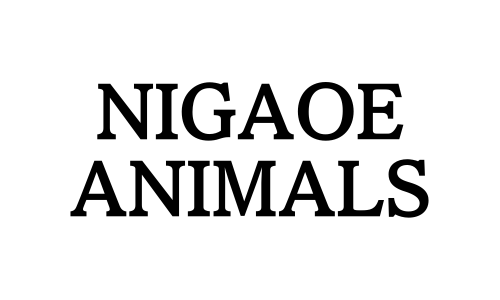NIGAOE ANIMALS logo